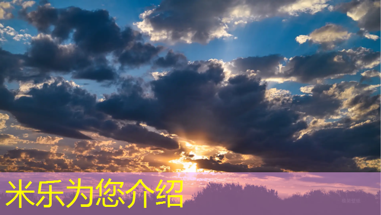 <strong>米乐m6官网登录入口为您介绍：美国力健跑步机线路图解大</strong>