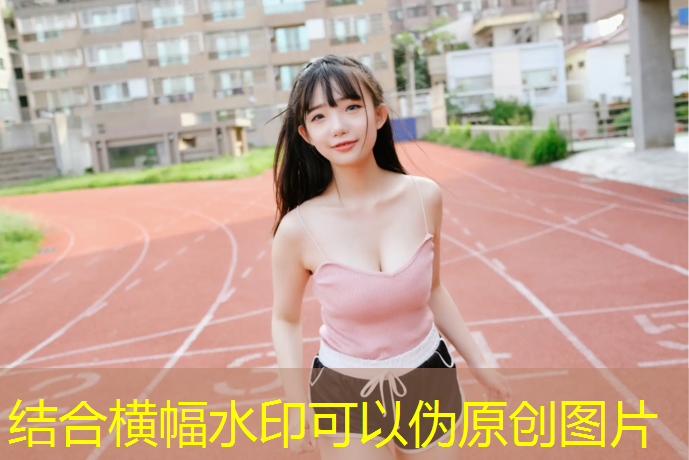 室内健身足球 室内健身足球